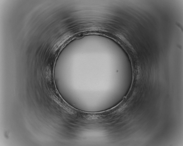 X0000100750969200807101659