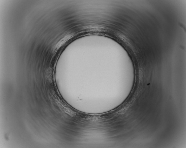 X0000100750970200807101659