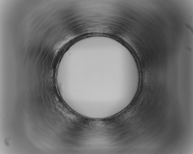 X0000100750971200807101659