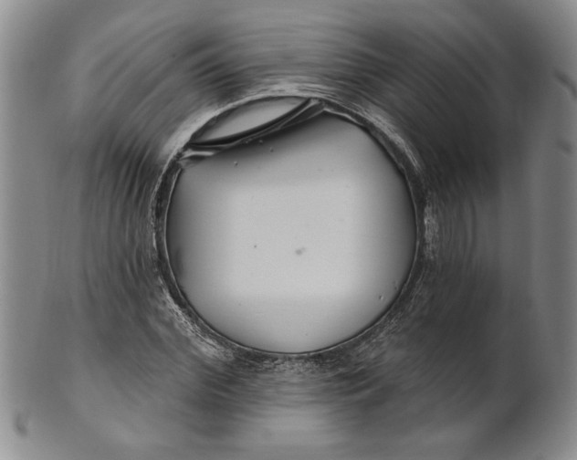 X0000100750972200807101659