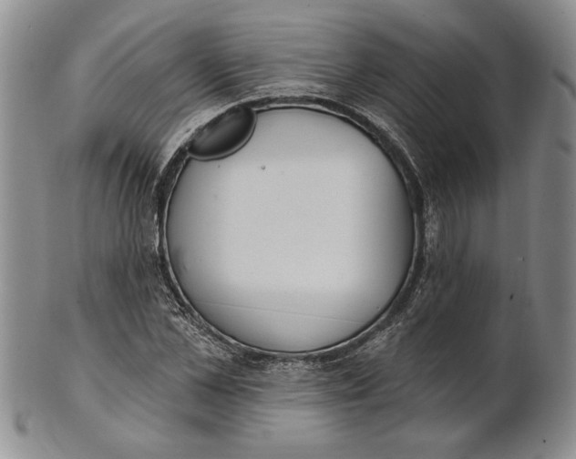 X0000100750973200807101659