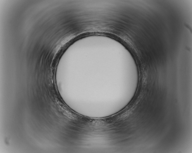 X0000100750974200807101659