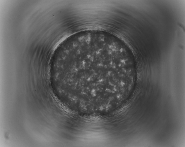 X0000100750975200807101659