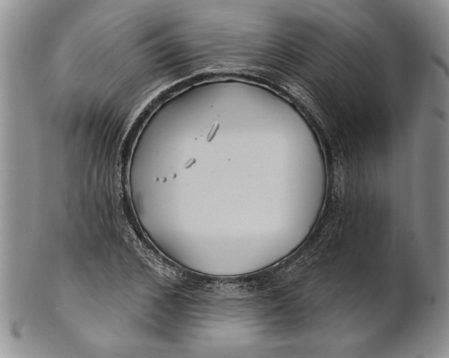 X0000100750976200807101659