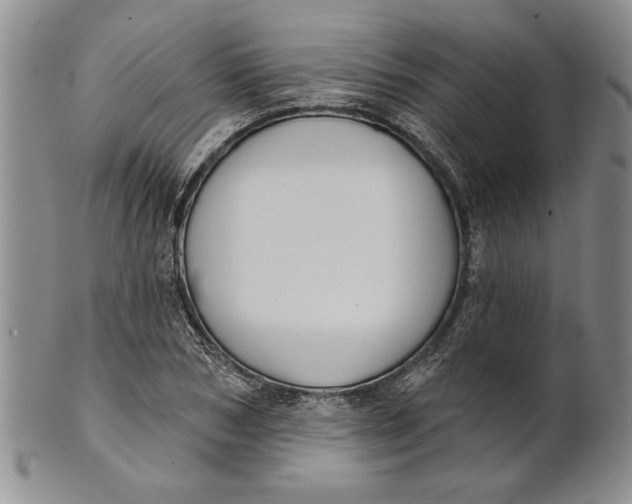 X0000100750978200807101659