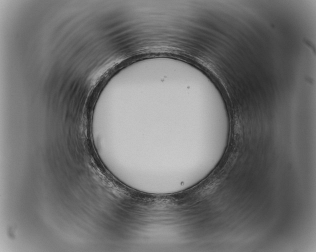 X0000100750979200807101659