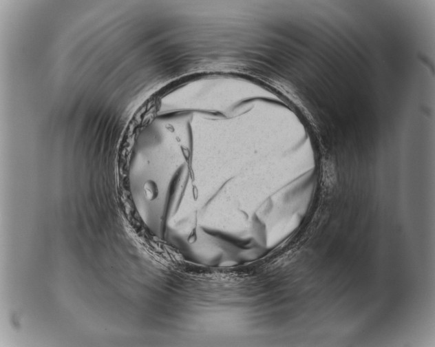 X0000100750980200807101659