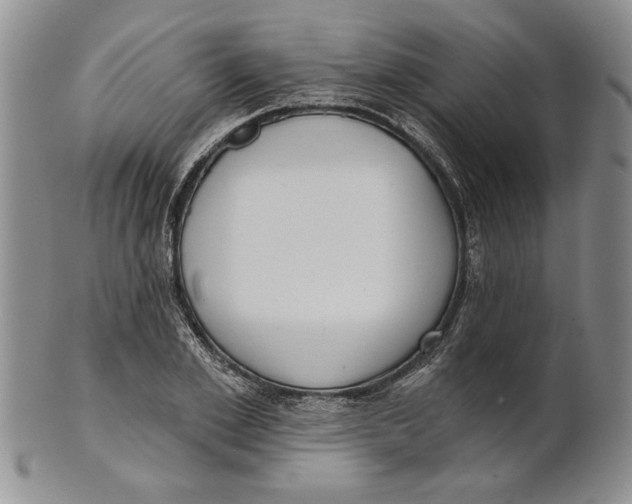 X0000100750981200807101659