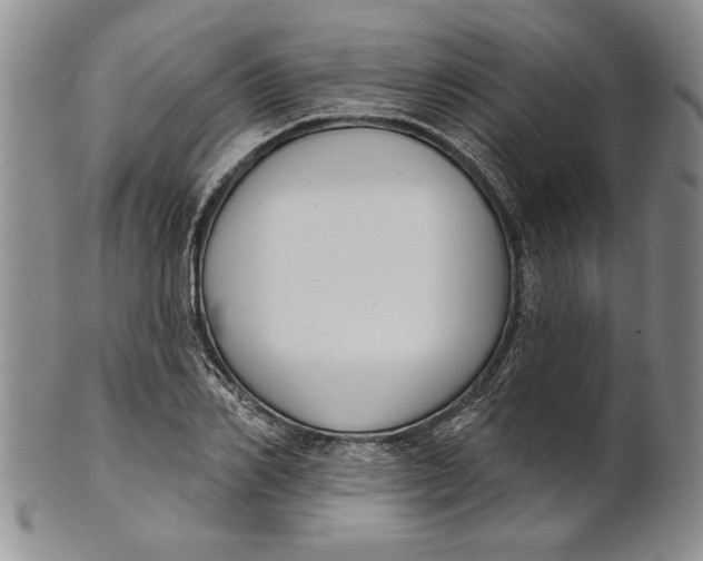 X0000100750982200807101659