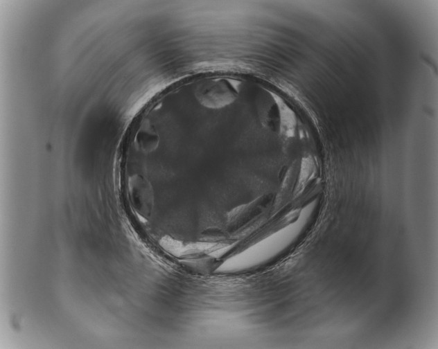 X0000100750983200807101659