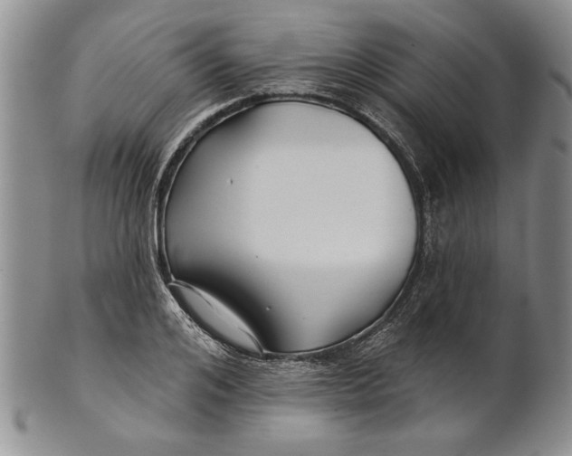 X0000100750984200807101659