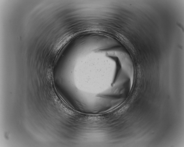 X0000100750985200807101659