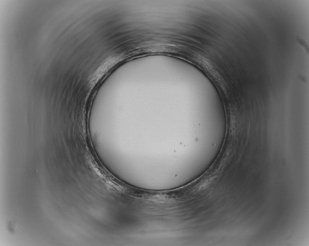 X0000100750986200807101659