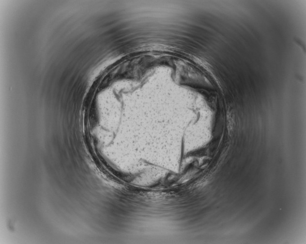 X0000100750987200807101659