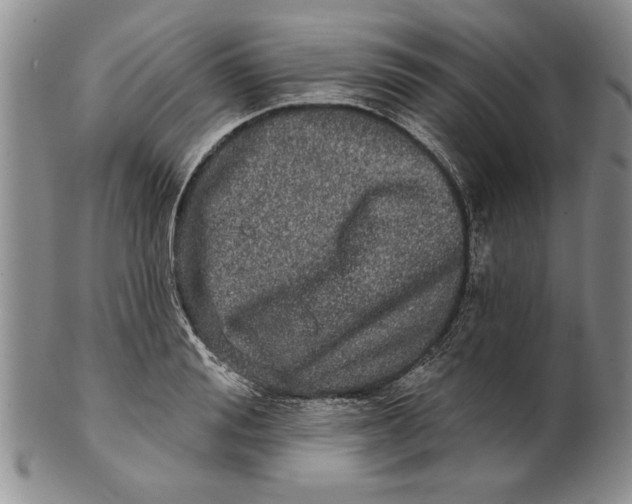 X0000100750988200807101659