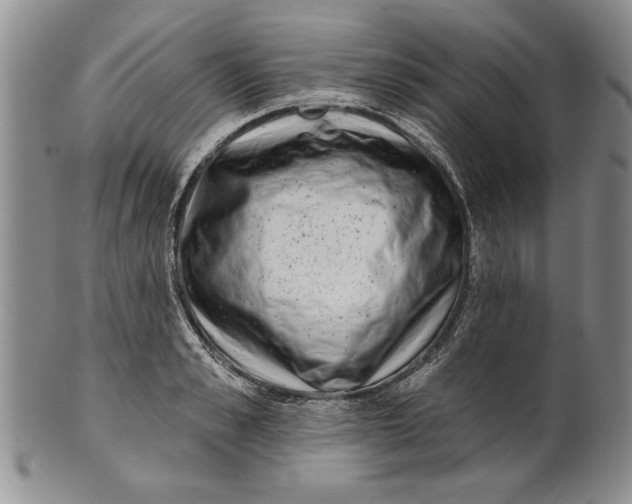 X0000100750989200807101658