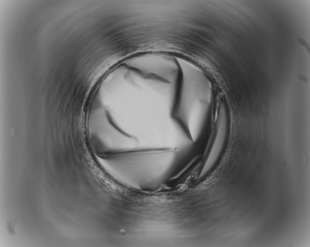 X0000100750990200807101658