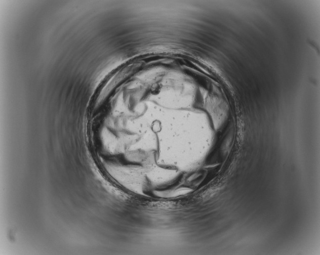 X0000100750991200807101658