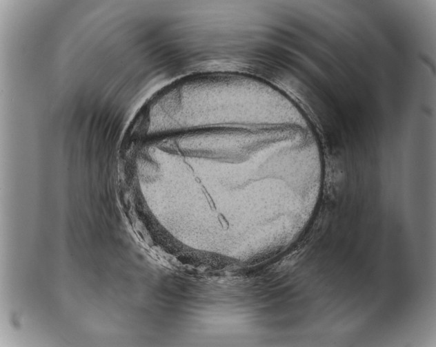 X0000100750992200807101658