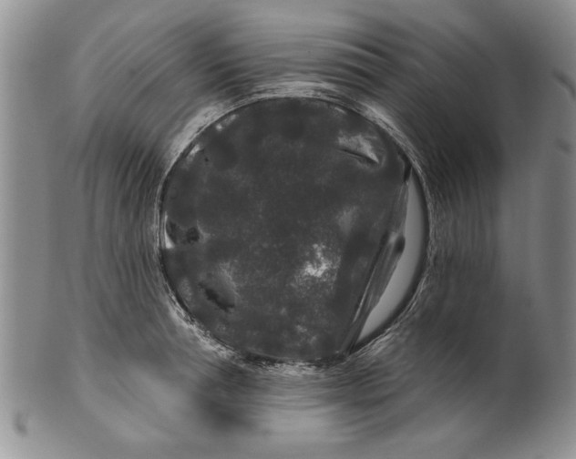 X0000100750994200807101658