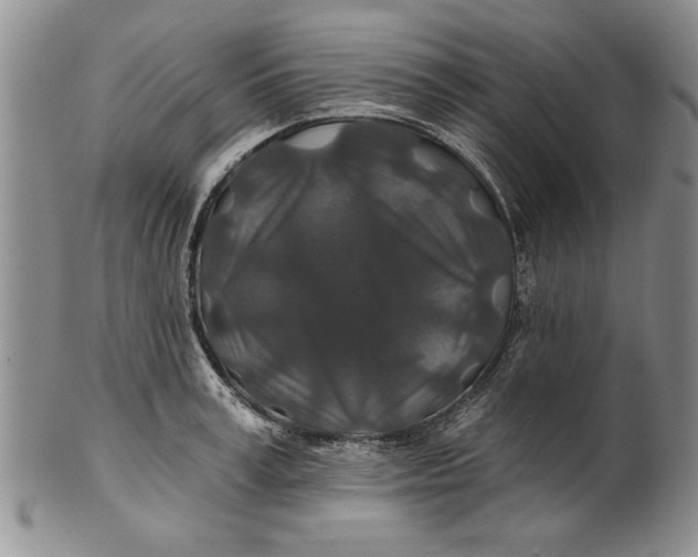 X0000100750995200807101658