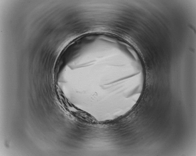 X0000100750996200807101658