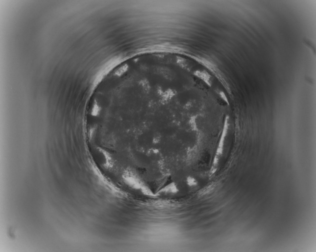 X0000100750998200807101658