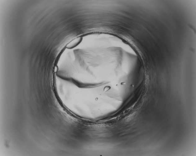 X0000100750999200807101658