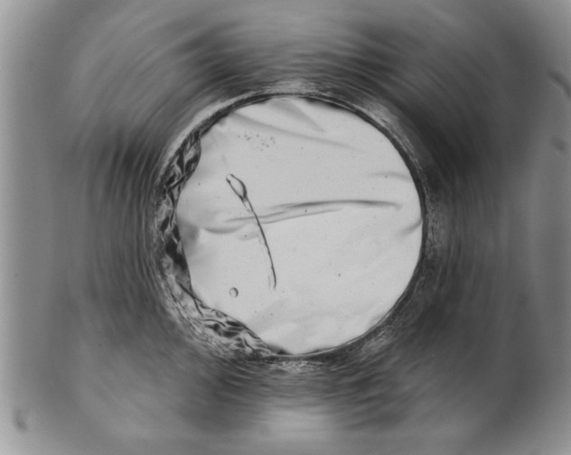 X0000100751000200807101658