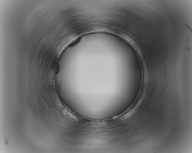 X0000100751001200807101658