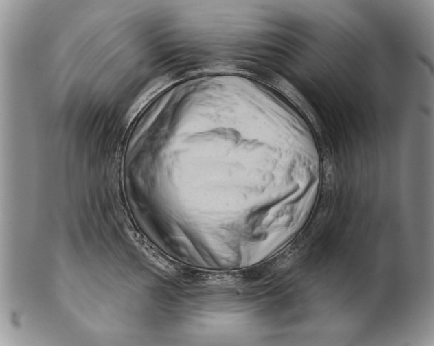 X0000100751002200807101658