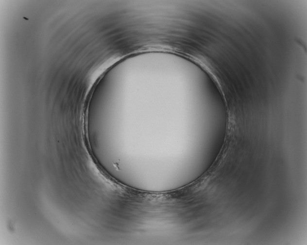 X0000100751003200807101658