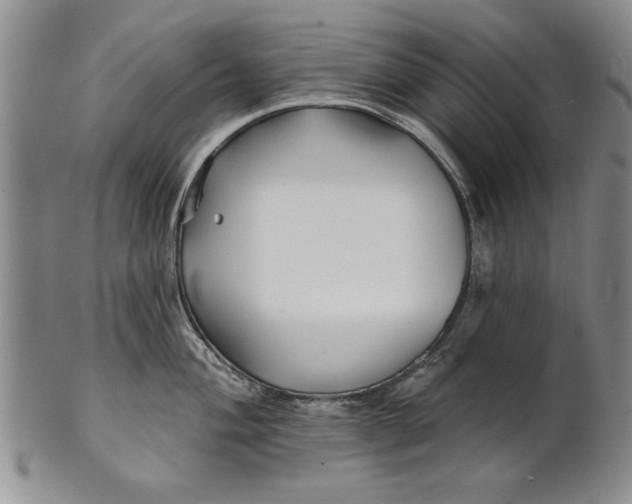 X0000100751004200807101658