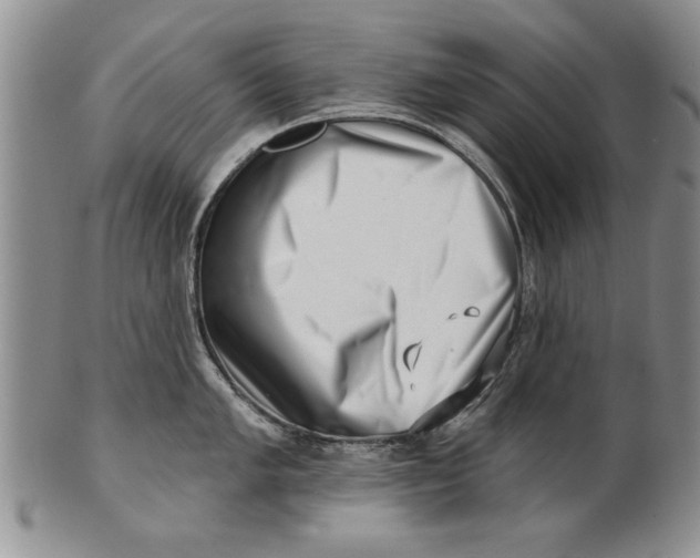 X0000100751005200807101658