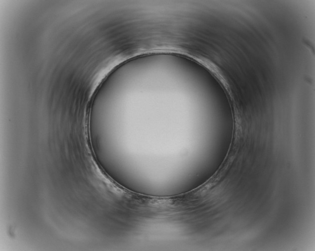 X0000100751006200807101658