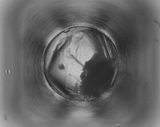 X0000100751007200807101658