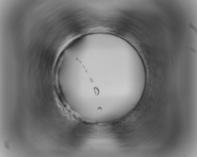 X0000100751008200807101658