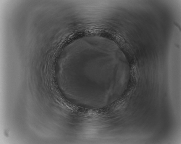 X0000100751009200807101658