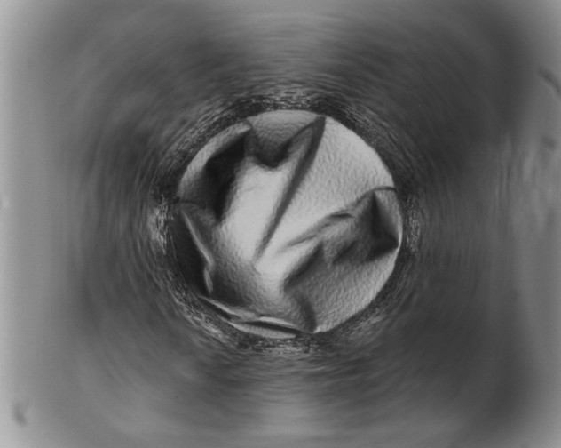 X0000100751010200807101658