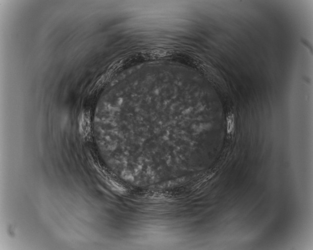 X0000100751011200807101658