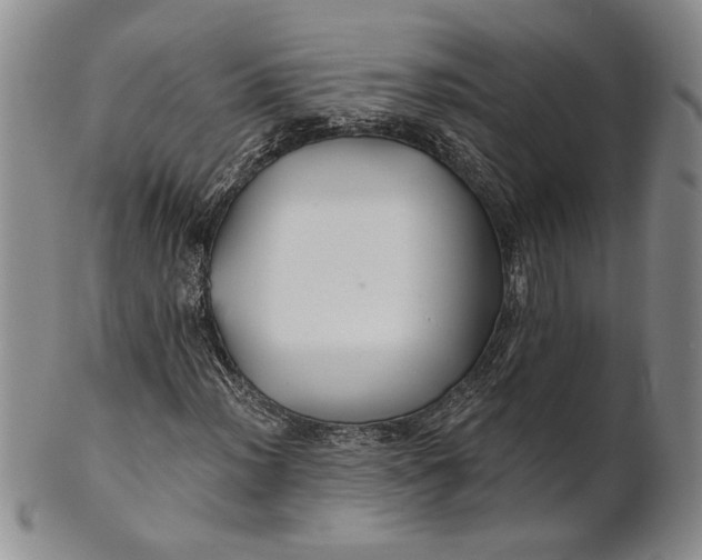 X0000100751012200807101658