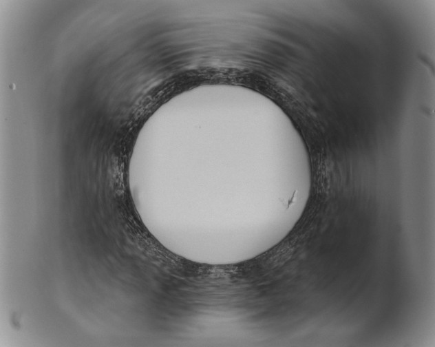 X0000100751013200807101658