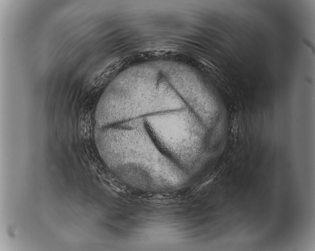 X0000100751014200807101658