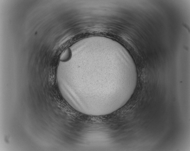 X0000100751015200807101658