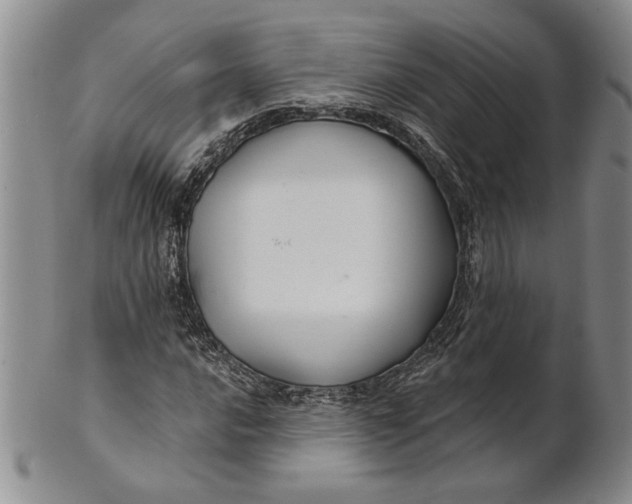 X0000100751016200807101658