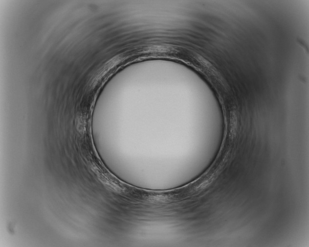 X0000100751017200807101658