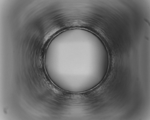 X0000100751018200807101658