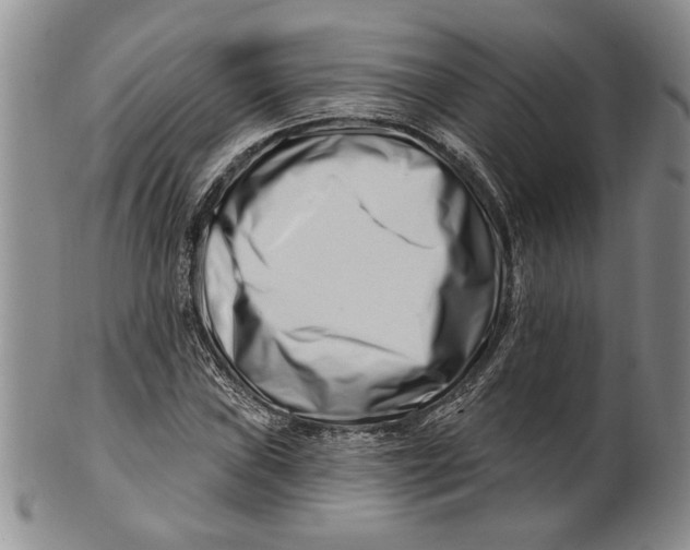 X0000100751019200807101658