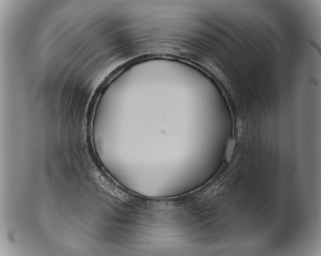 X0000100751020200807101658