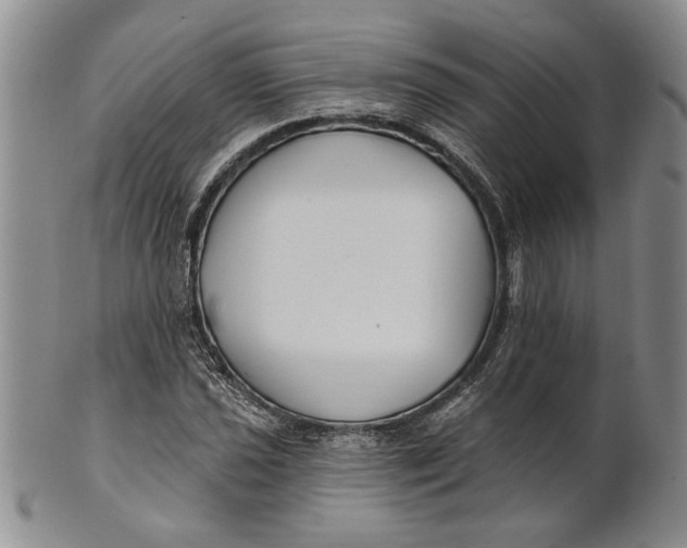 X0000100751021200807101658